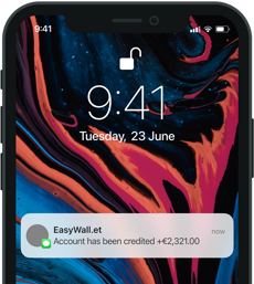 Instant Credit